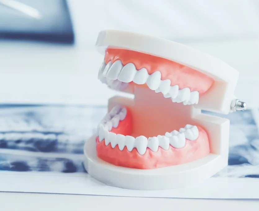 GN Dental Yuba City | Family Dentistry GN Dental Yuba City | Family Dentistry